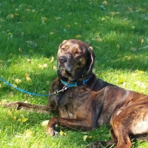 Meet your Posher, Vicki